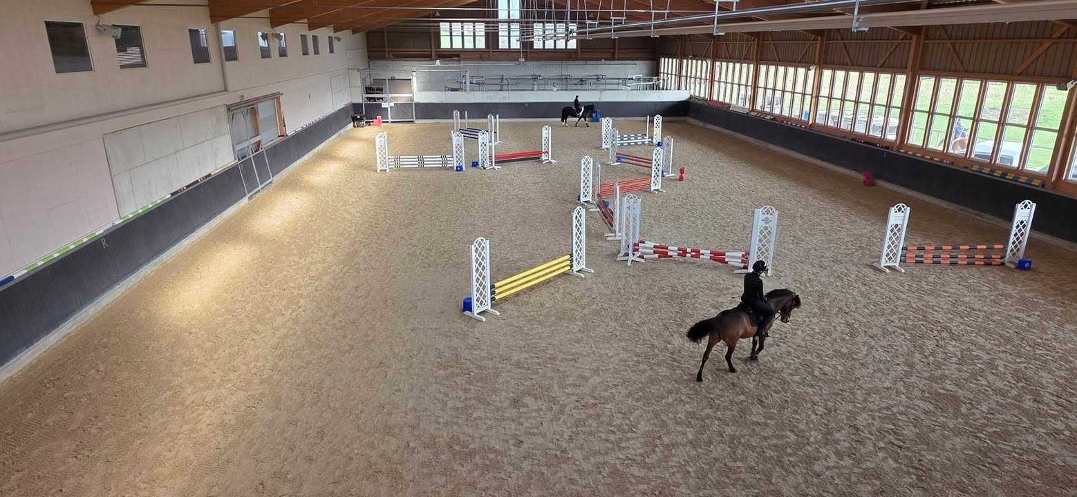 The Horseman